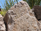 Napa Wine Country landscape boulders, 30 to 36 inch size