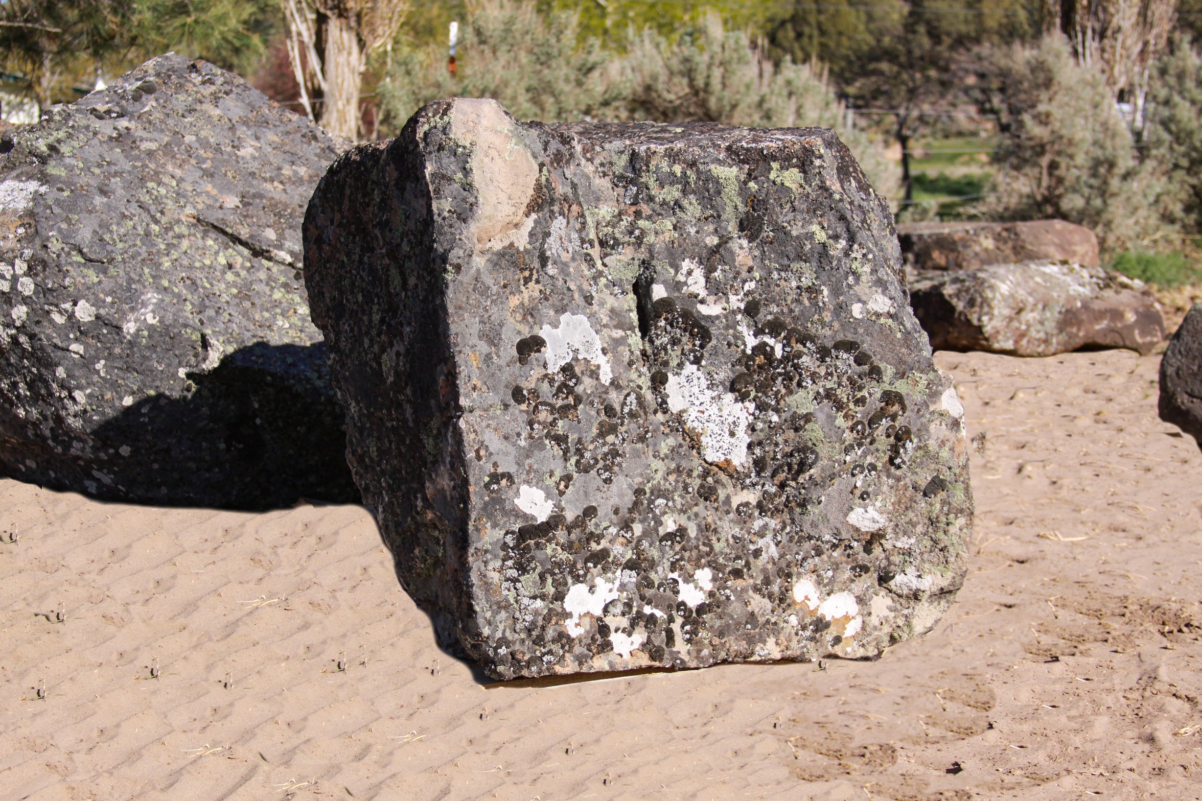 Oregon moss rock boulders with moss and lichen