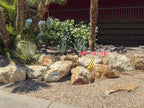 Palomino Gold landscape boulders, 12 to 18 inch size