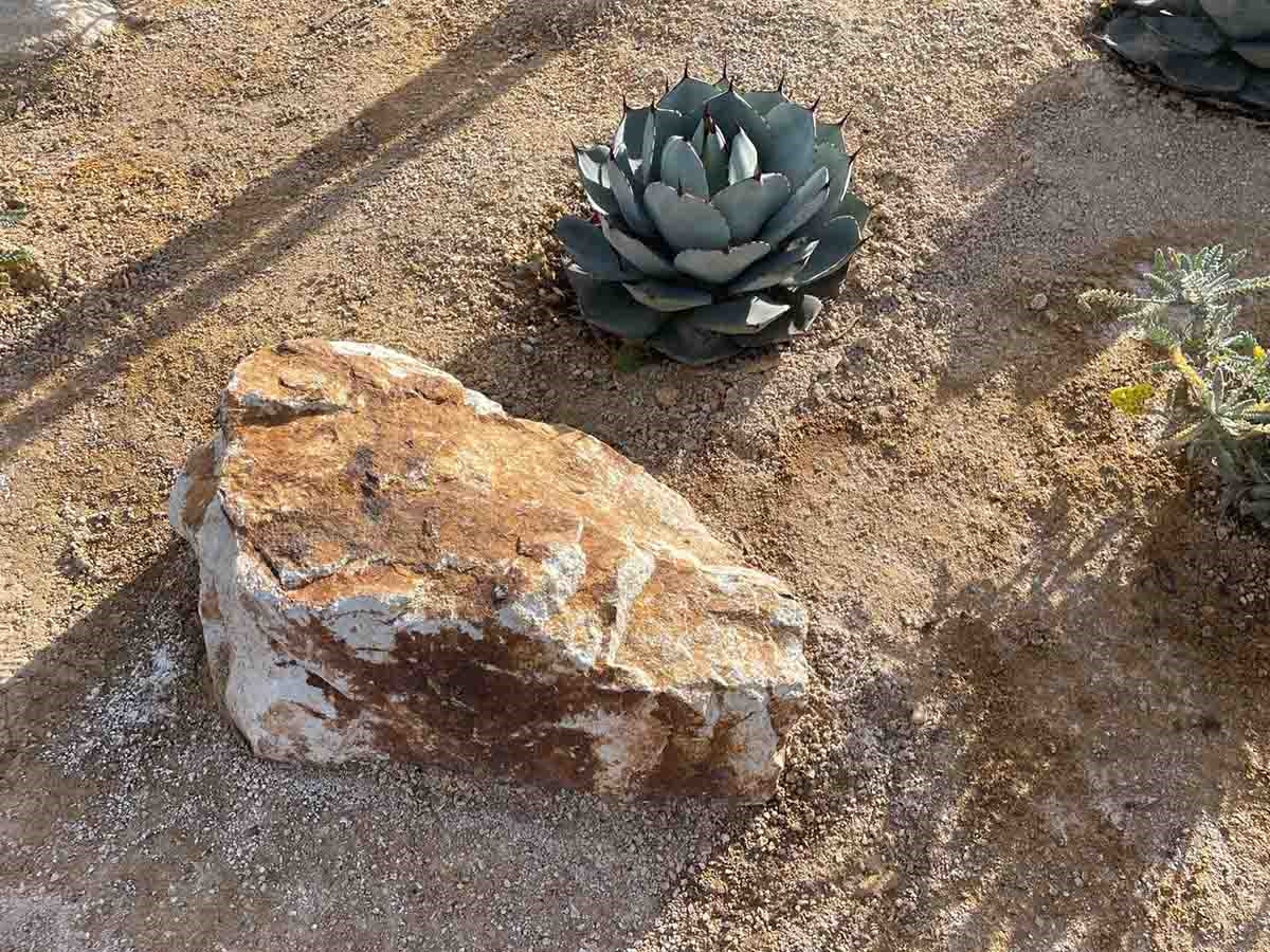 Palomino Gold landscape boulders, 30 to 36 inch size