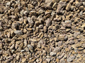 Palomino Gold Gravel