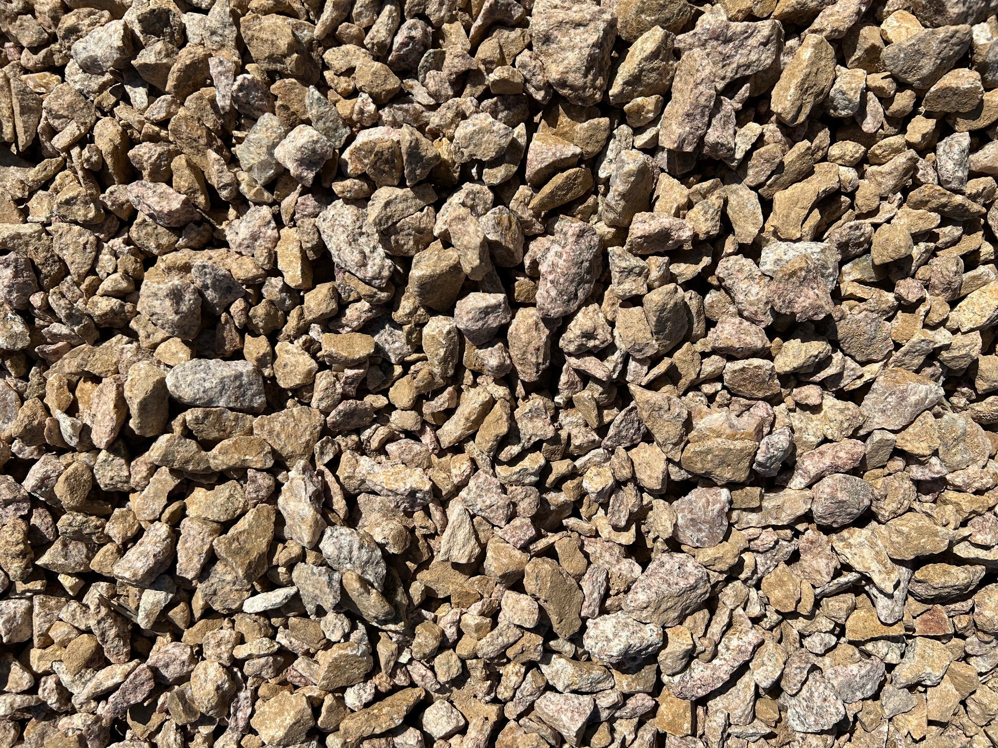 Palomino Gold Gravel