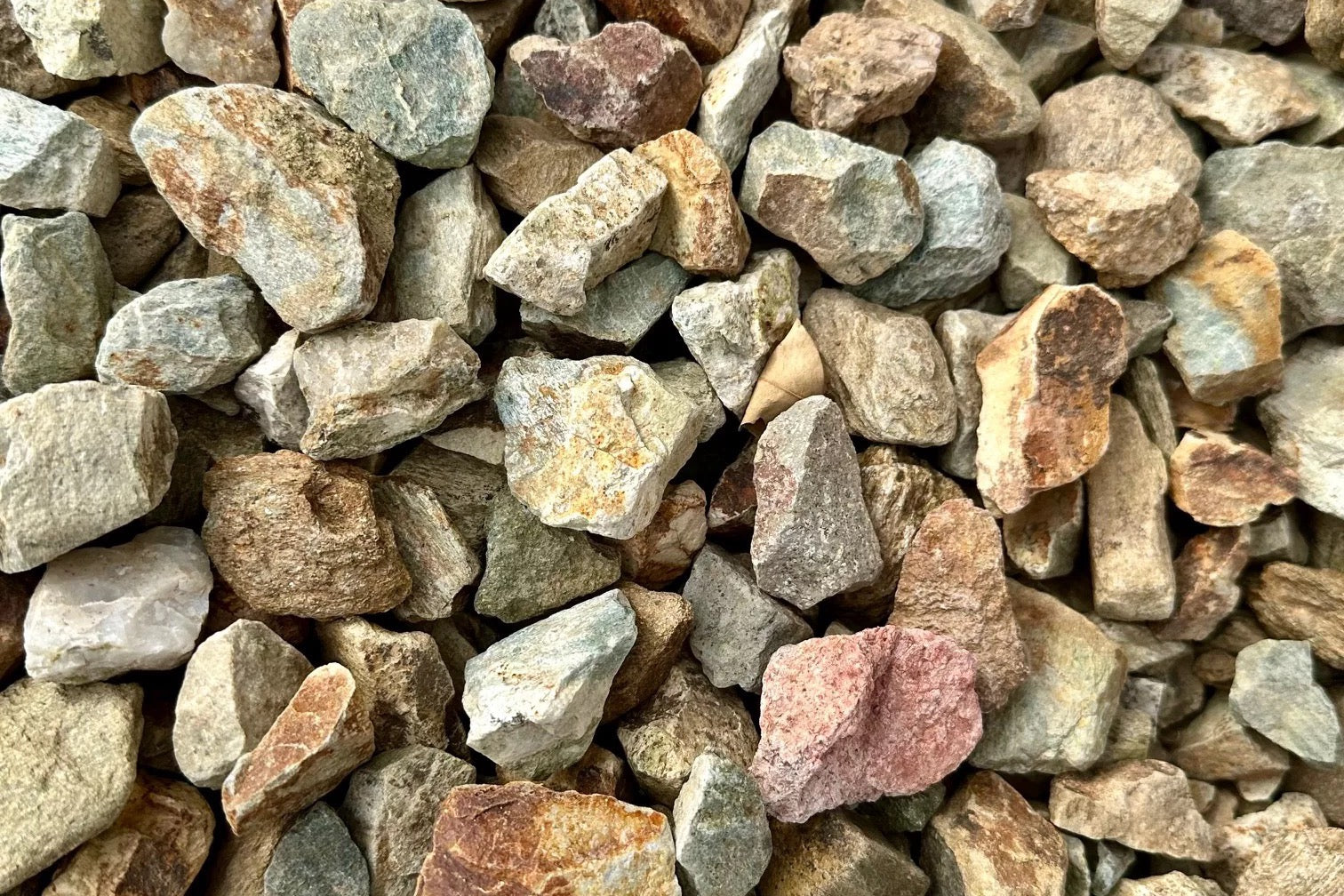Palomino Gold Rock