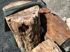 Petrified Wood landscape boulders, 24 to 30 inch size