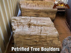 Petrified Wood landscape boulders, 30 to 36 inch size