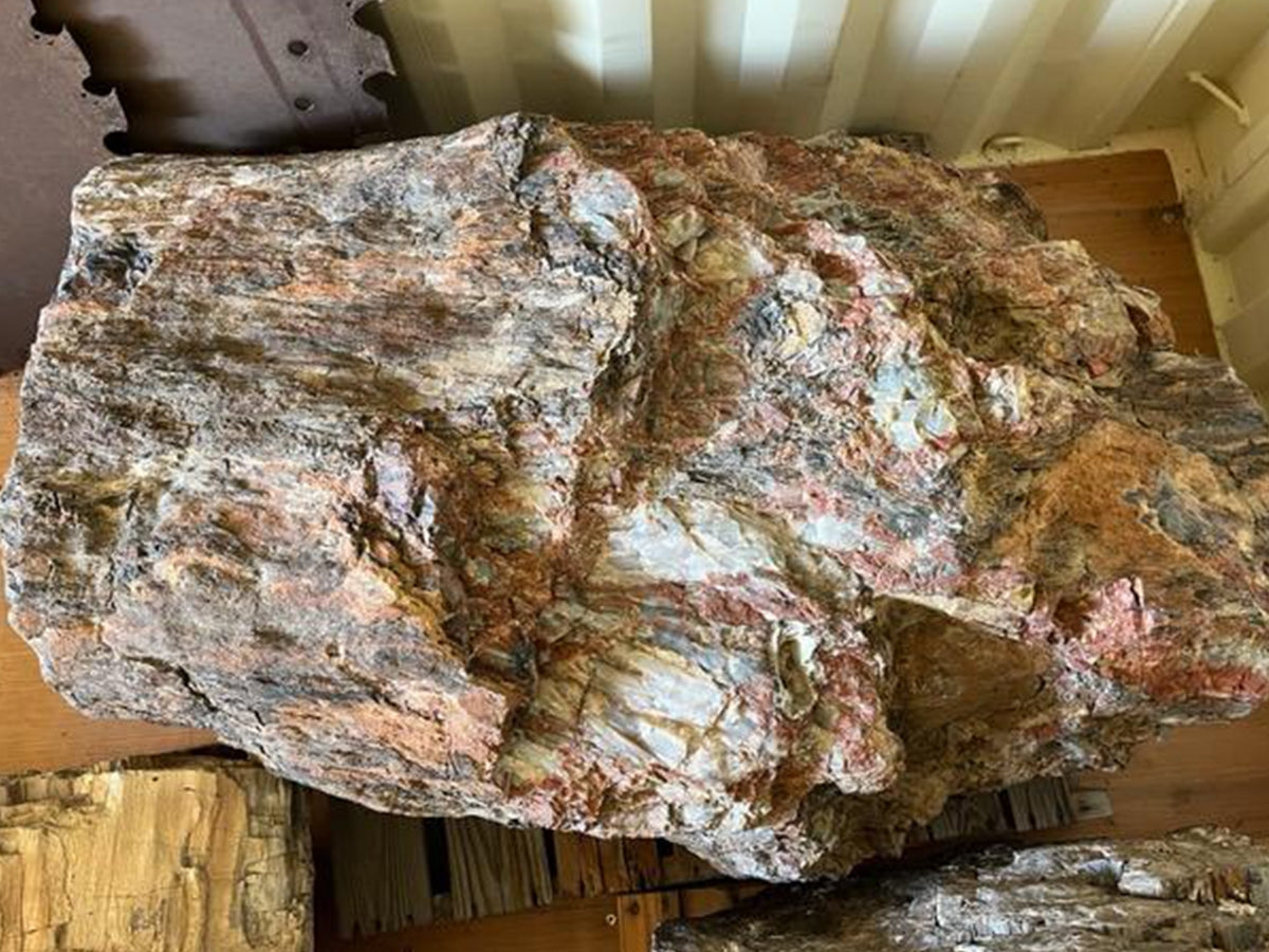 Petrified Wood specimen landscape boulder, quoted individually