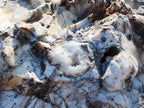 Polka Dot Agate Boulders only natural landscape boulders in the 2 to 3 inch size class