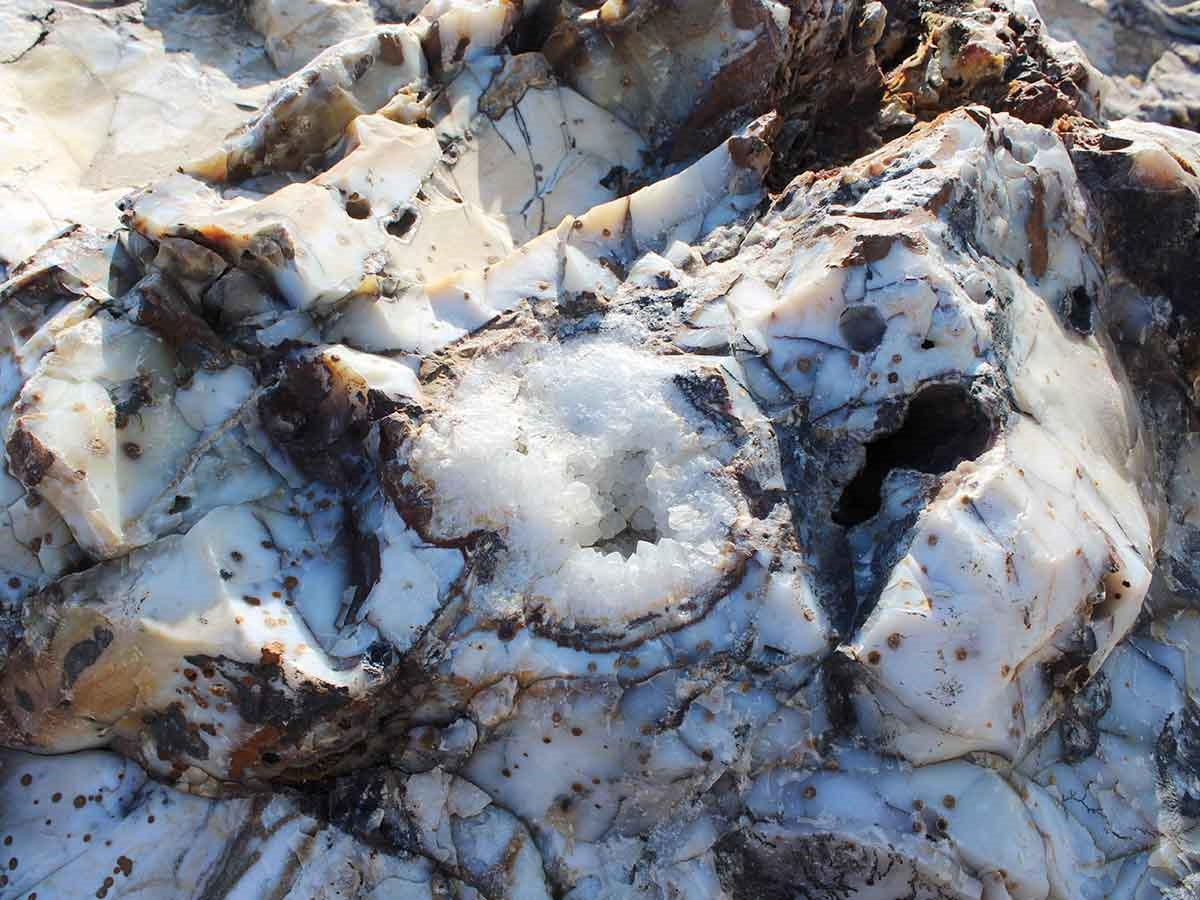 Polka Dot Agate Boulders only natural landscape boulders in the 2 to 3 inch size class