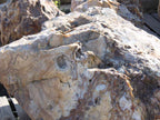 Polka Dot Agate Boulders only landscape stone, 2 to 3 inch size, shown loose at the yard