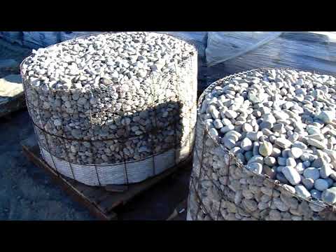 Mexican Beach Pebbles Buff Colored Small