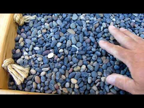 Mexican Beach Pebbles Mixed Colors 1/2 inch