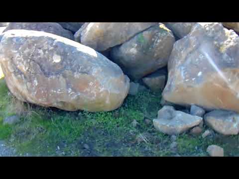 Large Sonoma Fieldstone Moss Boulders