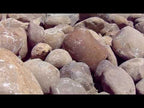 Sierra Gold Granite River Washed Boulders