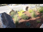 Napa Wine Country Boulders Santa Cruz