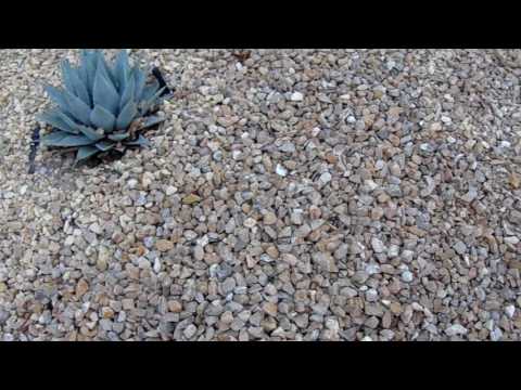 Bark Brown Gravel and California Gold Rock Gravel Comparison