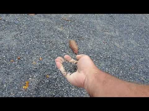 Cloud Nine D G and A Perfect Xeriscape Landscape