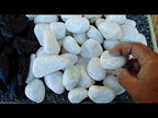 White Marble Pebbles and Black Polished Pebbles