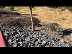 Black Crystal Basalt 4 to 6 Inch