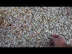 Palm Springs Gold Rock 3/8 Inch