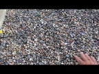 Lodi Gold Pea Gravel Landscape