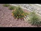 Sangria Summer Red Rock 3/4"