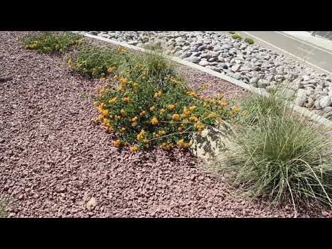 Sangria Summer Red Rock 3/4"