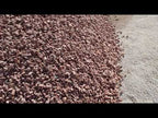 Las Vegas Pink Rock 3/4 Inch
