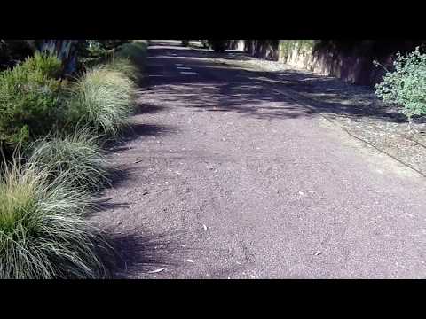 Red Wine Decomposed Granite Drive Way
