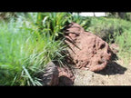 Red n Burgundy Lava Boulders
