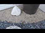 Imperial Del Rio Pebbles x Mexican Black Beach Pebbles