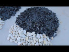 Black Slate Chips, East Coast