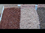 Jesse Red n Belmont Gold n Desert Vista Brown n AZ Blonde D. G.