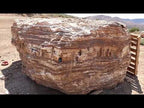 Black Onyx Mega Boulder For Sale