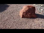 Yavapai Coral Rock