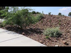 Bureau of Reclamation’s Boulder City Office Landscape Renovation