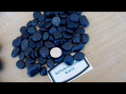Mexican Black Beach Buttons Polished