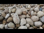 Gold Granite Sierra River Wash Boulders