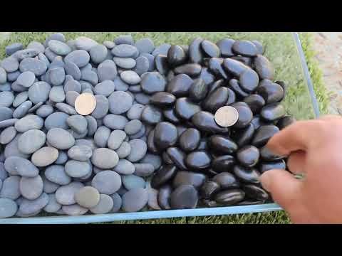 Mexican Black Beach Buttons video