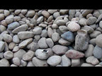 Large Arizona River Rock Boulders