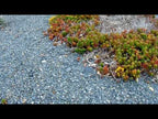 Cloud Nine Blue Rock Landscape