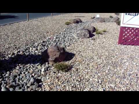 Lodi Gold River Rock Landscape
