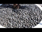 Polished Black Beach Pebble 2 to 3 Inch