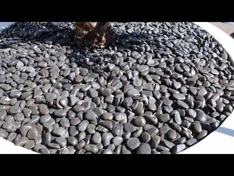 Polished Black Beach Pebble 2 to 3 Inch