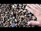 Lodi Gold Pea Gravel