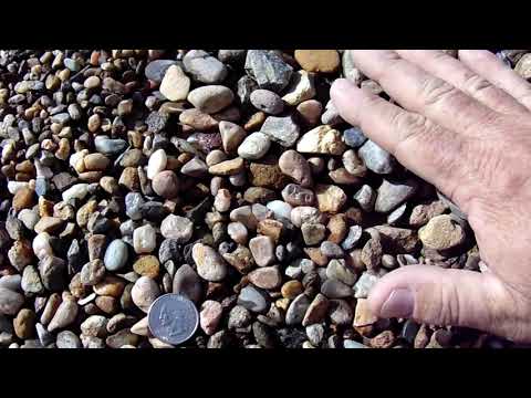 Lodi Gold Pea Gravel