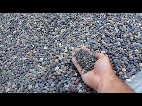 1/2" Mexican Beach Pebbles & Black Criva