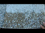 Bocce Court Oyster Flour