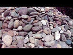 Arizona River Rock  6 to 18 Inch