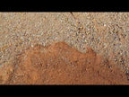 Desert Rose DG