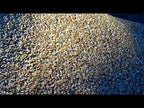 Ginger Rock Gravel
